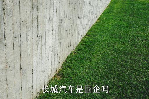  長城汽車是國企嗎