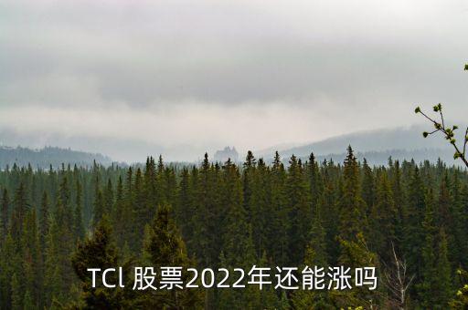 TCl 股票2022年還能漲嗎