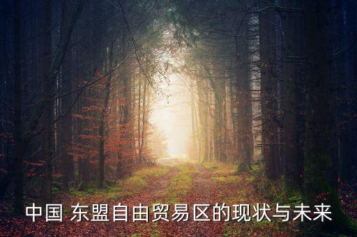 中國 東盟自由貿易區(qū)的現(xiàn)狀與未來