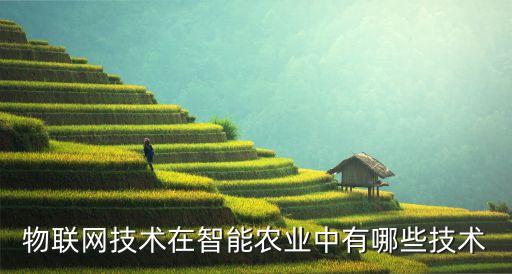 物聯(lián)網(wǎng)技術在智能農(nóng)業(yè)中有哪些技術