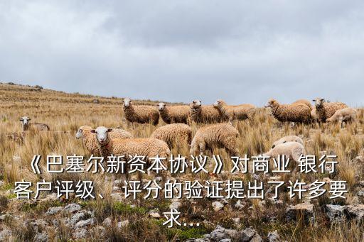《巴塞爾新資本協(xié)議》對商業(yè) 銀行 客戶評級、 評分的驗證提出了許多要求...