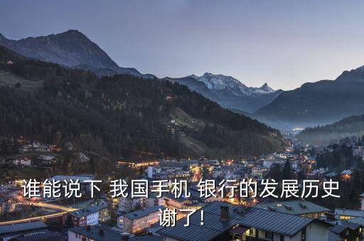 我國電子銀行取得成績(jī)