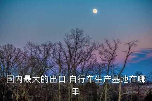 中國(guó)自行車(chē)最多的城市,中國(guó)第一個(gè)有自行車(chē)的城市