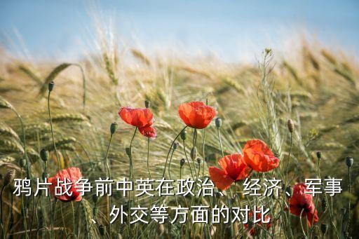 鴉片戰(zhàn)爭前中英在政治、 經(jīng)濟(jì)、軍事、外交等方面的對比