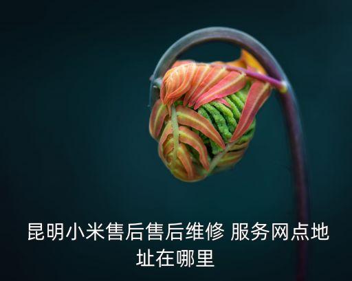  昆明小米售后售后維修 服務網(wǎng)點地址在哪里
