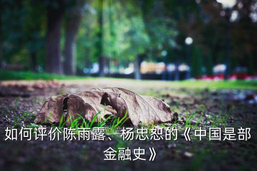 如何評價陳雨露、楊忠恕的《中國是部 金融史》