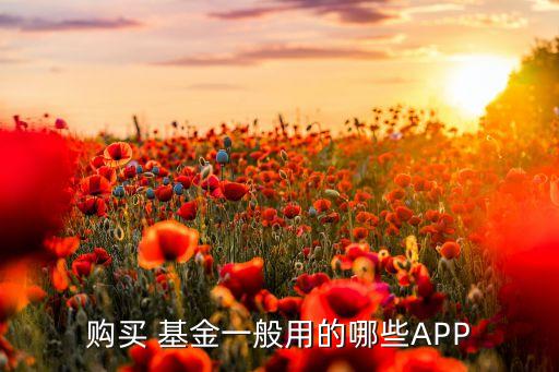 第三方基金理財(cái)平臺哪個(gè)好,證券公司和第三方理財(cái)機(jī)構(gòu)哪個(gè)好