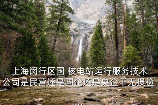  上海閔行區(qū)國(guó) 核電站運(yùn)行服務(wù)技術(shù)公司是民營(yíng)還是國(guó)企還是央企干無損檢...