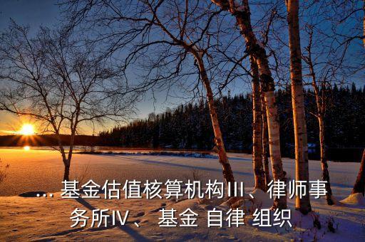 ... 基金估值核算機(jī)構(gòu)Ⅲ、律師事務(wù)所Ⅳ、 基金 自律 組織