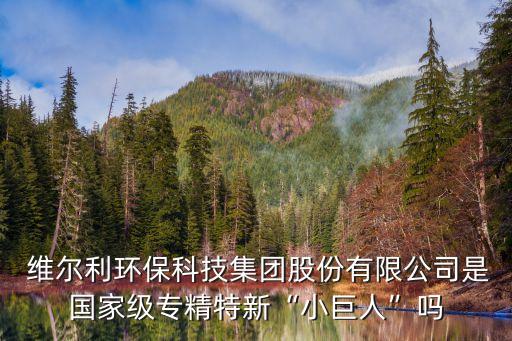  維爾利環(huán)?？萍技瘓F(tuán)股份有限公司是國(guó)家級(jí)專(zhuān)精特新“小巨人”嗎