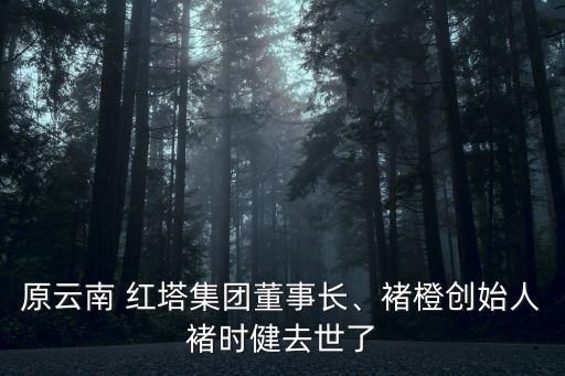 原云南 紅塔集團(tuán)董事長、褚橙創(chuàng)始人褚時健去世了