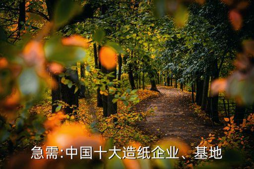 急需:中國十大造紙企業(yè)、基地