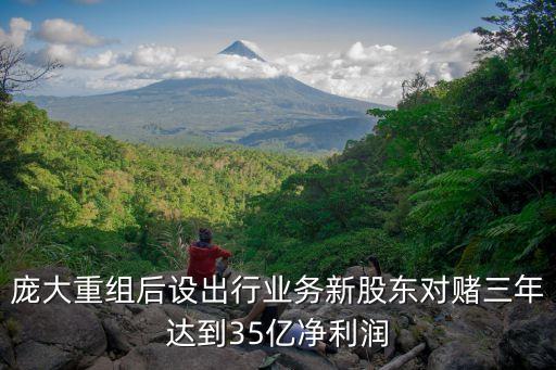龐大重組后設(shè)出行業(yè)務(wù)新股東對賭三年達到35億凈利潤