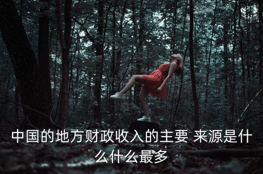 中國(guó)的地方財(cái)政收入的主要 來源是什么什么最多