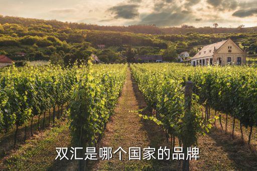 雙匯是哪個(gè)國家的品牌