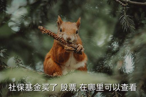 社?；鹳I(mǎi)了 股票,在哪里可以查看