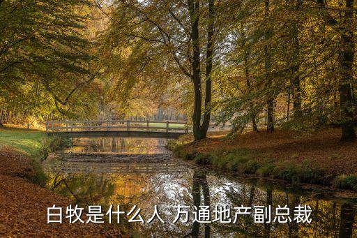 白牧是什么人 萬(wàn)通地產(chǎn)副總裁