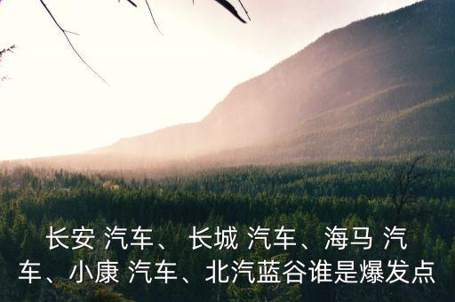 長城汽車投資價(jià)值,長城嶺銣礦投資開釆價(jià)值