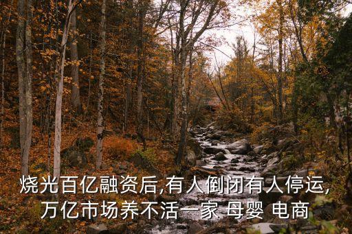 燒光百億融資后,有人倒閉有人停運(yùn),萬(wàn)億市場(chǎng)養(yǎng)不活一家 母嬰 電商