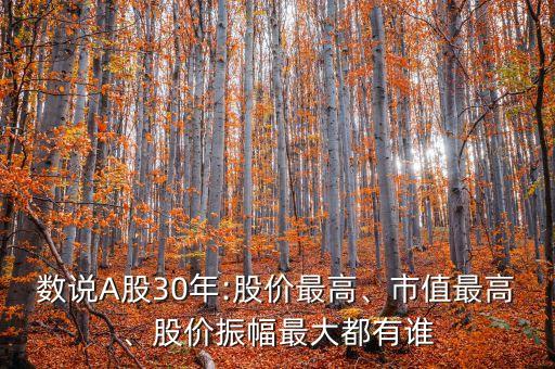 數(shù)說A股30年:股價最高、市值最高、股價振幅最大都有誰