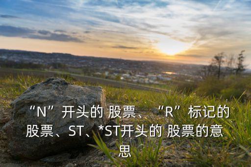 “N”開頭的 股票、“R”標記的 股票、ST、*ST開頭的 股票的意思