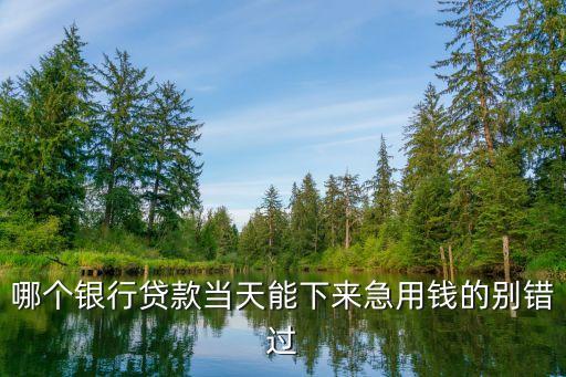 哪個(gè)銀行貸款當(dāng)天能下來(lái)急用錢的別錯(cuò)過(guò)
