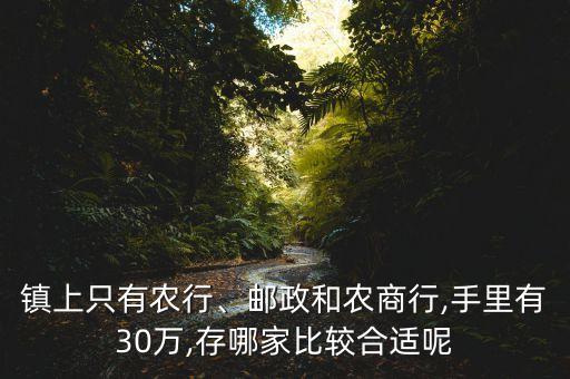 鎮(zhèn)上只有農(nóng)行、郵政和農(nóng)商行,手里有30萬,存哪家比較合適呢