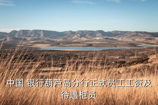 銀行處長的真實收入,銀行理財經(jīng)理真實收入