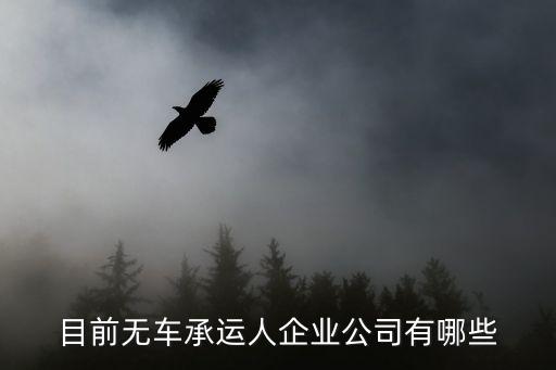 目前無(wú)車(chē)承運(yùn)人企業(yè)公司有哪些