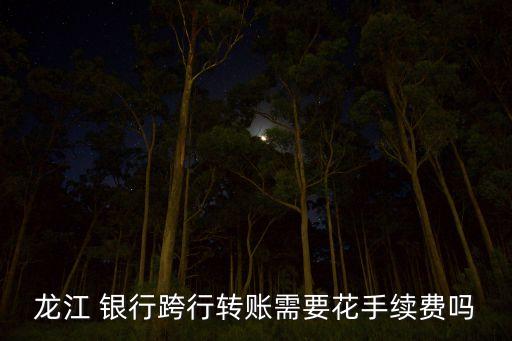 龍江 銀行跨行轉賬需要花手續(xù)費嗎