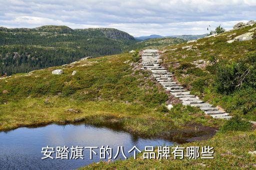 體育用品行業(yè)上市公司,生產體育用品的上市公司