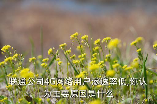 聯通公司4G網絡用戶滲透率低,你認為主要原因是什么