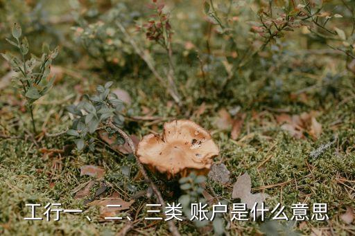 工行一、二、三類 賬戶是什么意思