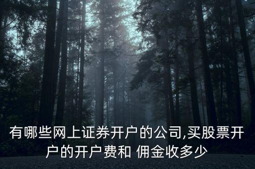 有哪些網(wǎng)上證券開(kāi)戶的公司,買股票開(kāi)戶的開(kāi)戶費(fèi)和 傭金收多少