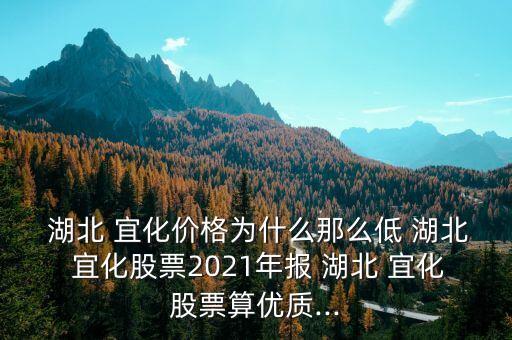  湖北 宜化價格為什么那么低 湖北 宜化股票2021年報 湖北 宜化股票算優(yōu)質...
