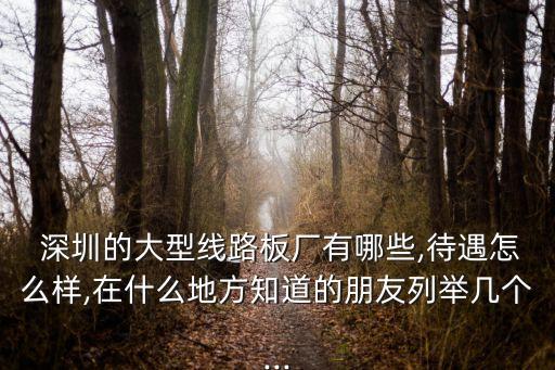  深圳的大型線路板廠有哪些,待遇怎么樣,在什么地方知道的朋友列舉幾個(gè)...