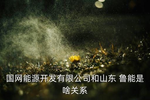 國(guó)網(wǎng)能源開(kāi)發(fā)有限公司和山東 魯能是啥關(guān)系
