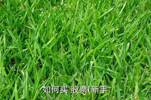 如何買(mǎi) 股票(新手