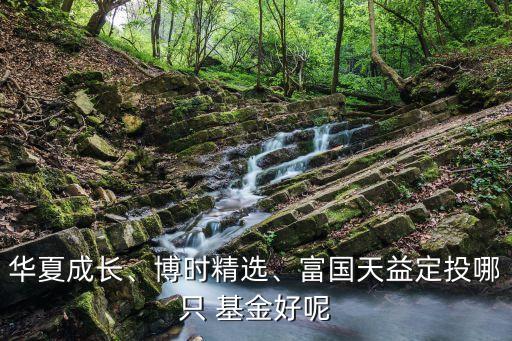 華夏成長(zhǎng)、博時(shí)精選、富國(guó)天益定投哪只 基金好呢