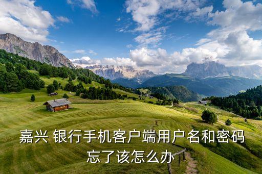 嘉興 銀行手機(jī)客戶(hù)端用戶(hù)名和密碼忘了該怎么辦
