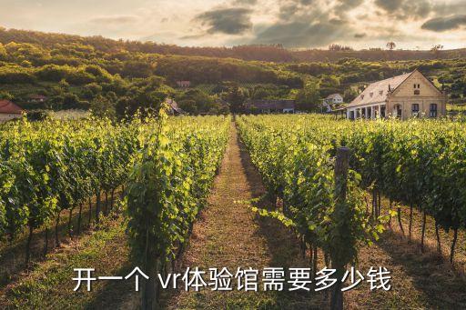 開一個 vr體驗(yàn)館需要多少錢