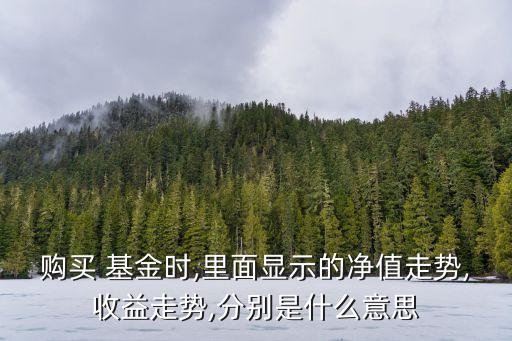 購(gòu)買 基金時(shí),里面顯示的凈值走勢(shì),收益走勢(shì),分別是什么意思