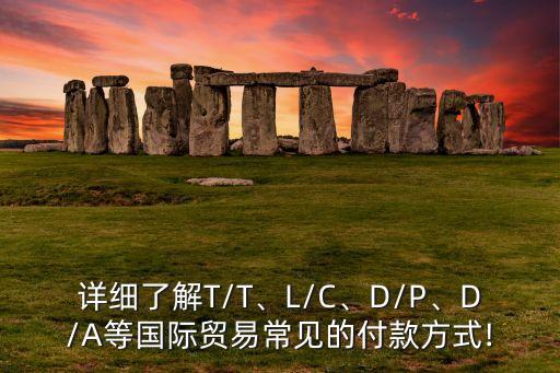 詳細(xì)了解T/T、L/C、D/P、D/A等國際貿(mào)易常見的付款方式!