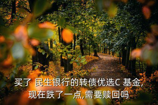 買(mǎi)了 民生銀行的轉(zhuǎn)債優(yōu)選C 基金,現(xiàn)在跌了一點(diǎn),需要贖回嗎