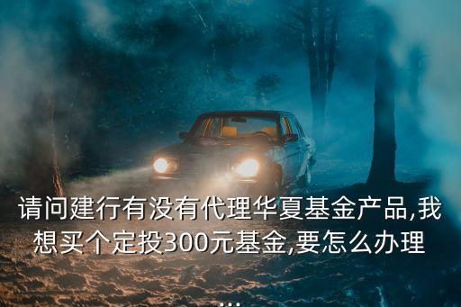 建設銀行有定投306