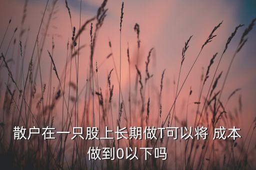 散戶在一只股上長期做T可以將 成本做到0以下嗎