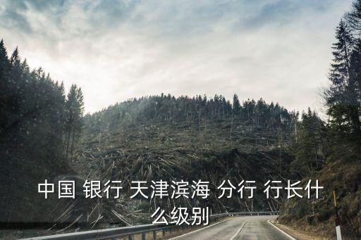 中國 銀行 天津?yàn)I海 分行 行長(zhǎng)什么級(jí)別