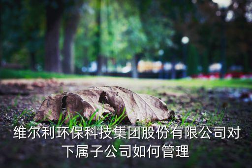  維爾利環(huán)保科技集團(tuán)股份有限公司對(duì)下屬子公司如何管理
