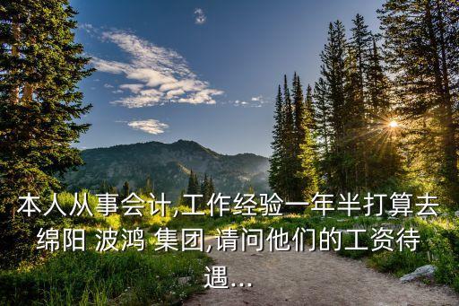 本人從事會計,工作經(jīng)驗一年半打算去綿陽 波鴻 集團(tuán),請問他們的工資待遇...