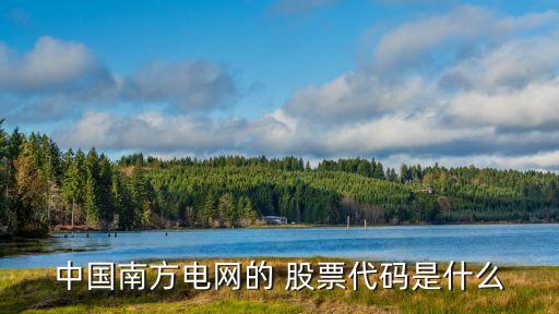 中國(guó)南方電網(wǎng)的 股票代碼是什么